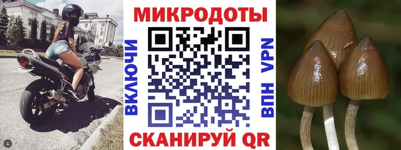 Псилоцибиновые грибы MAGIC MUSHROOMS  Беломорск 
